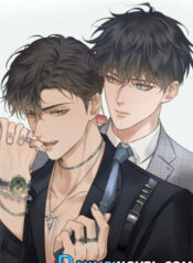 My Beloved Fool Novel