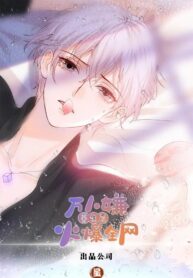 Fire After Rebirth Novel