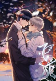 Flying Ash Novel